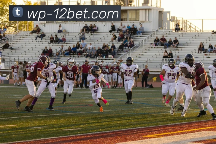 壹贰博12BET官网APP 封面图